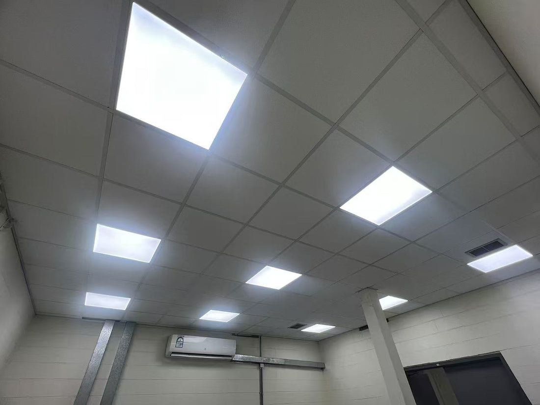 2x2 LED panel lights with emergency backup installed in Middle East office ceiling